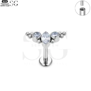 SG4020 Titanium Internally Threaded Marquise & Round CZ Gem Cluster Labret