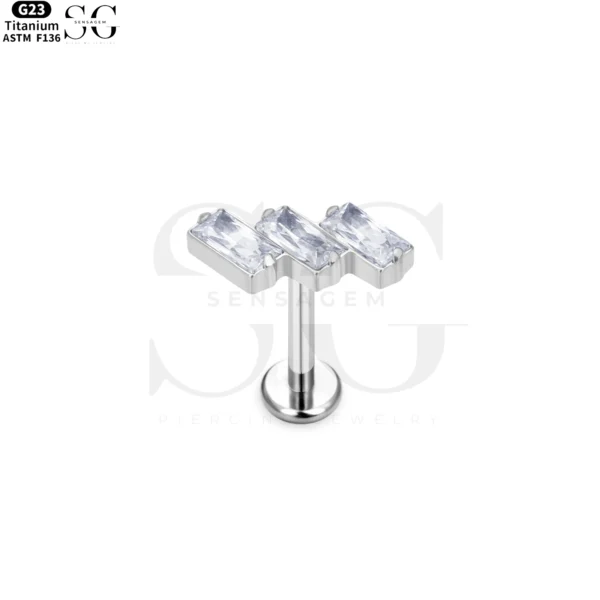 SG4043 - Image 2