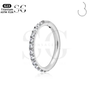 SGYS2027-316L Hinged Edge CZ Segment Ring