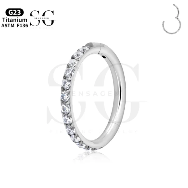 SGYS2027-F136 Titanium