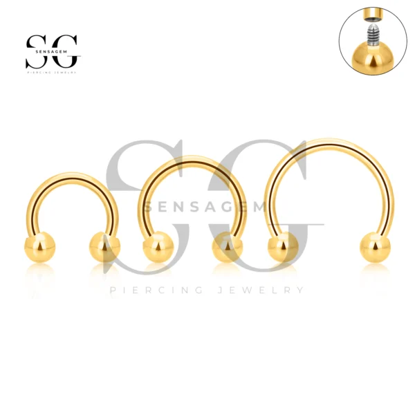 SGYS8004 F-136 Titanium Internally Theaded Curved Barbell - Image 2