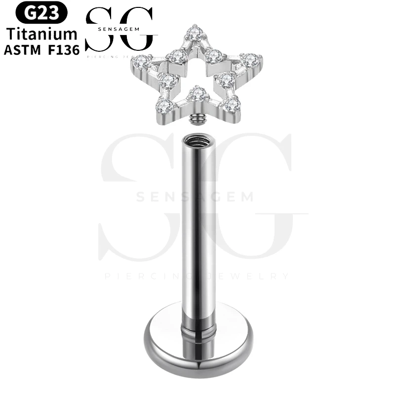 SGYS1009 Pave CZ Hollow Star Flat Back Labret Earring - Image 2