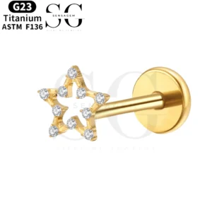 SGYS1009 Pave CZ Hollow Star Flat Back Labret Earring