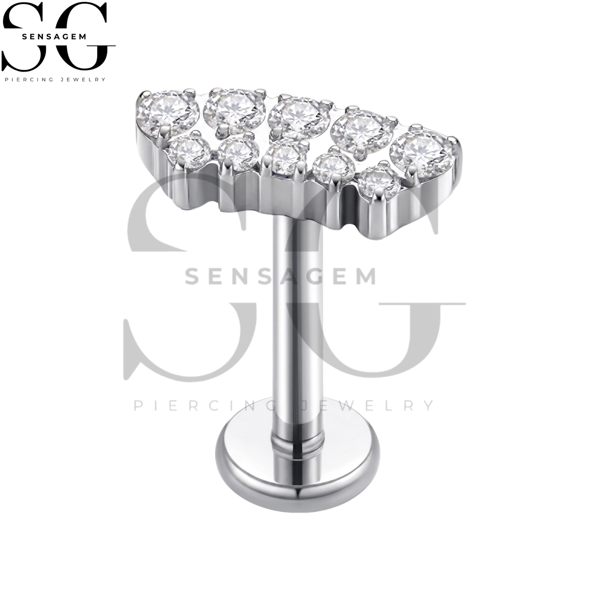 SGYS1373 ASTM F136 Titanium Flat Back Lip Ring Double Row Pavé CZ Curved Labret Stud - Image 3