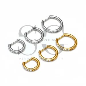 SG3290 ASTM F136 Titanium CZ Pave Hinged Segment Clicker Ring